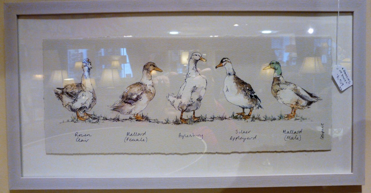 Duck print, wooden frame.